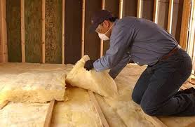 Best Insulation for New Construction  in Surf City, NJ